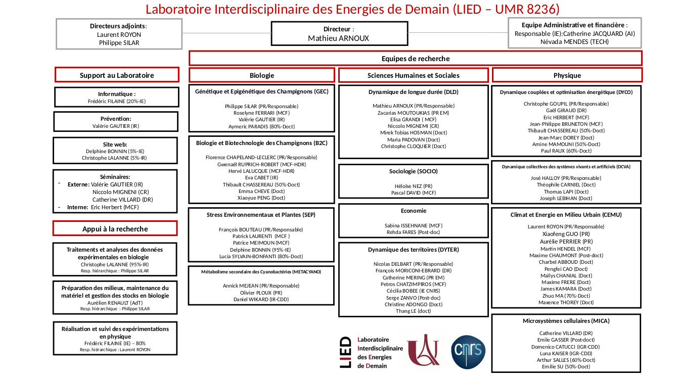 Organigramme Laboratoire interdisciplinaire des énergies de demain