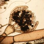 Photo de François Bouteau Photo de François Bouteau