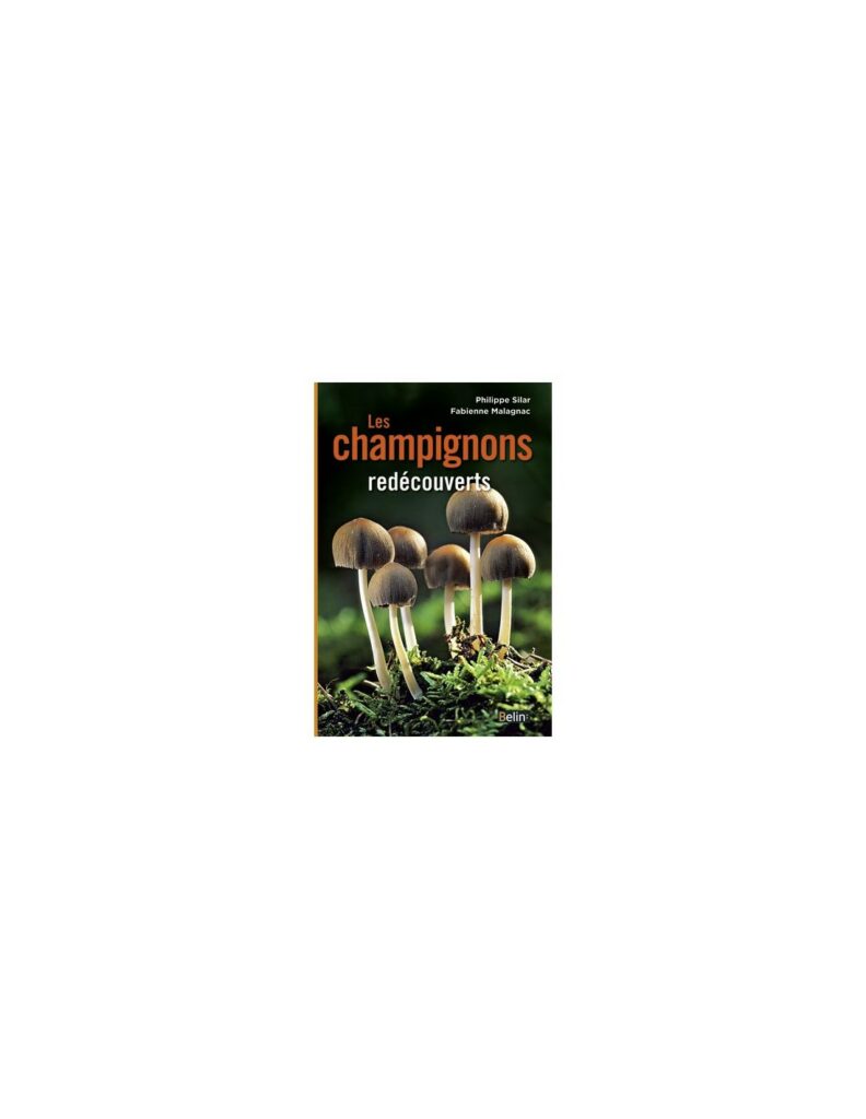 Couverture d’ouvrage : Les champignons redécouverts